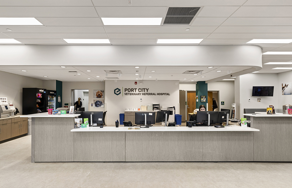 Project of the Month: Timberline Construction Corp. delivers advanced  veterinary facility for Ethos Port City in Portsmouth, NH